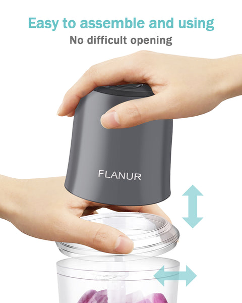 FLANUR Food Processor, Small Food Processor for Vegetables, Meat, Fruits, Nuts, 2 Speed Mini Food Chopper With Sharp Blades, 2-Cup Capacity, Silver