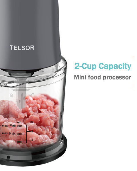 TELSOR Food Processor, Small Food Processor for Vegetables, Meat, Fruits, Nuts, 2 Speed Mini Food Chopper With Sharp Blades, 2-Cup Capacity, Silver