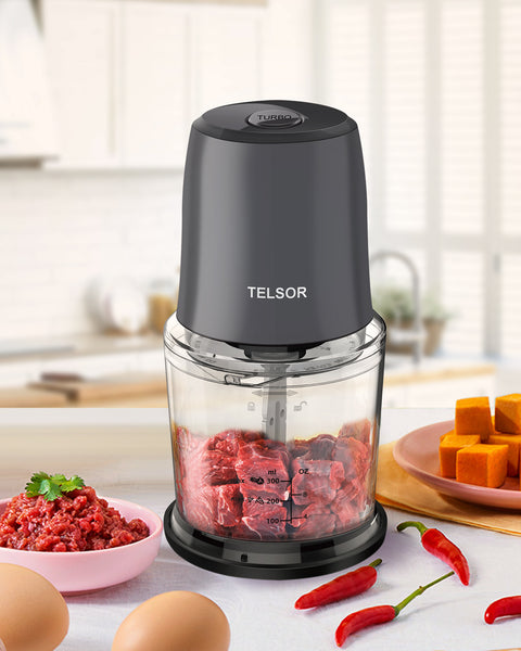 TELSOR Food Processor, Small Food Processor for Vegetables, Meat, Fruits, Nuts, 2 Speed Mini Food Chopper With Sharp Blades, 2-Cup Capacity, Silver