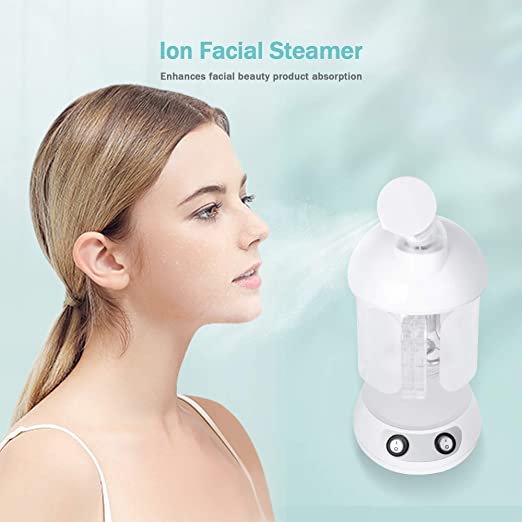 Hair & Facial Steamer